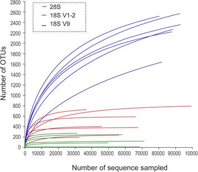 Combining Multiple Markers in Environmental DNA Metabarcoding to Assess Deep-Sea Benthic Biodiversity